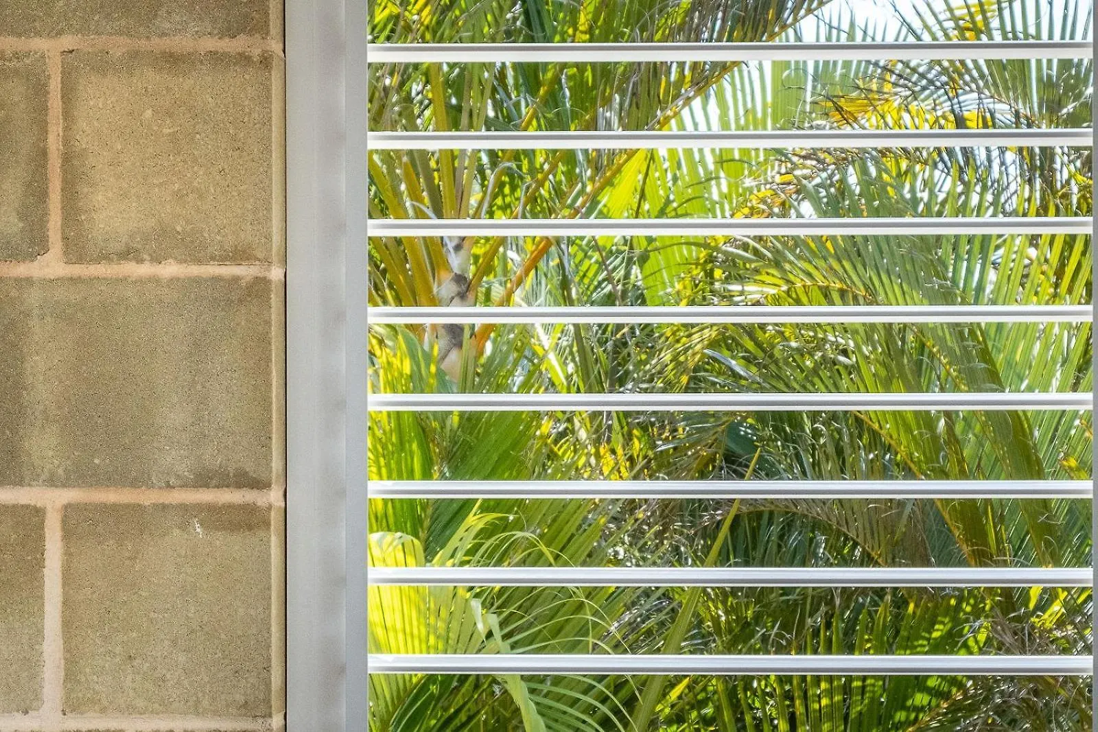 Coastal Getaway Across From Dicky Beach Caloundra